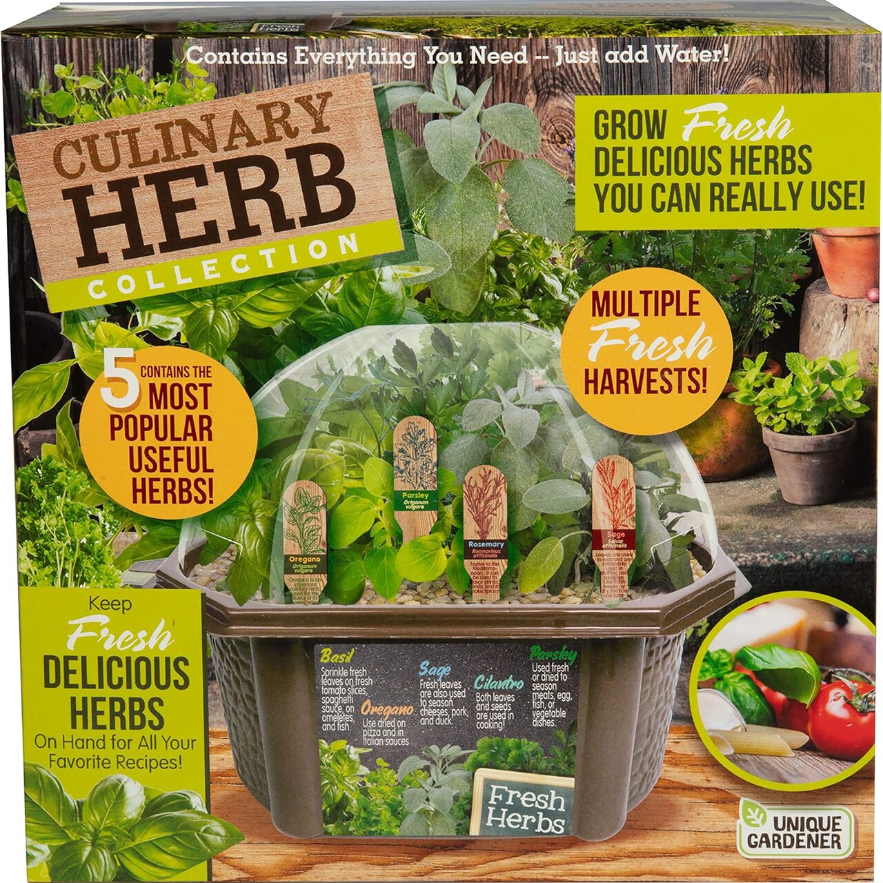 Unique Gardener: Culinary Herb Collection - DIY Biosphere Terrarium Starter Kit, Grow 5 Different Delicious Herb Plants, Kitchen Window Indoor Garden